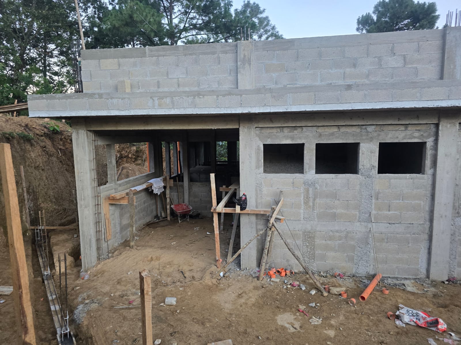 Project Alpha